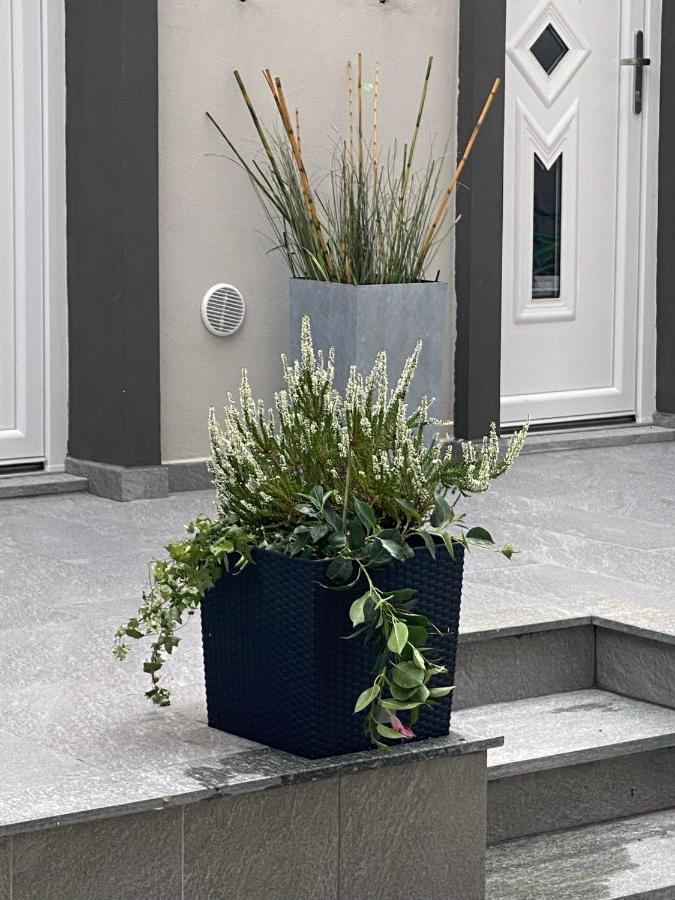 Decoluxe !Apartamento Con 1 Camera Da Letto , In Zona San Paolo , Via Martiniana Turin Exterior foto